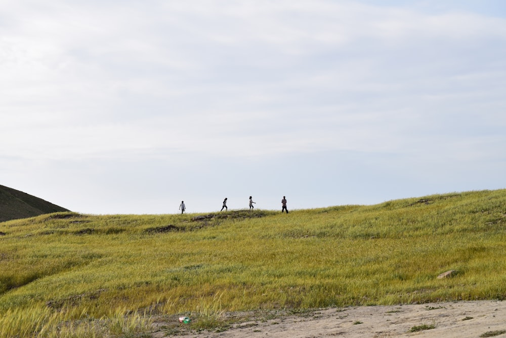 people walking on green grass field under white clouds during daytime