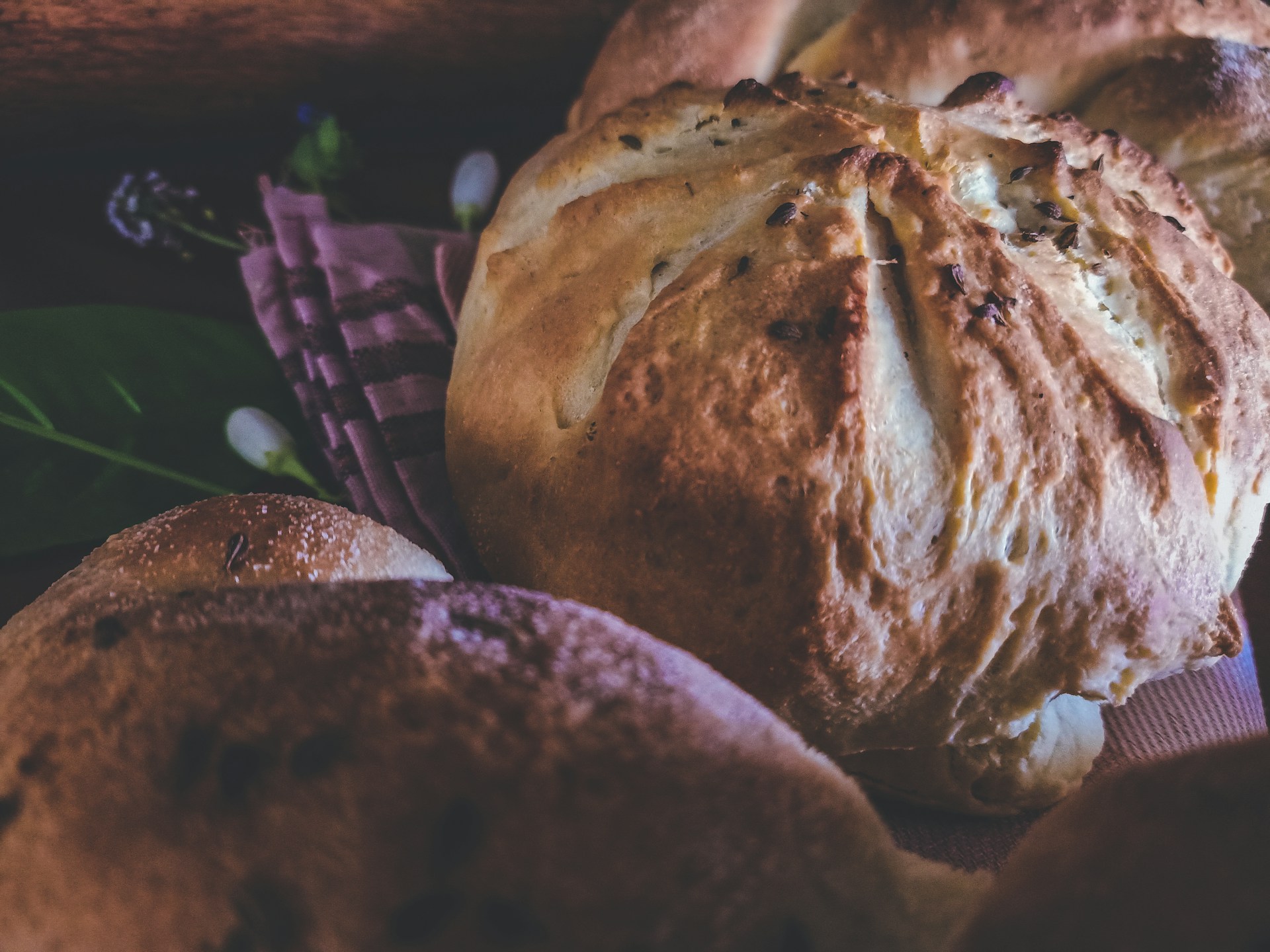 Close-up of freshly baked bread loaves resting on a patterned cloth, with a rustic and artisanal appearance. The bread has a golden-brown crust and is surrounded by soft lighting and subtle background elements, including some green leaves and out-of-focus details.