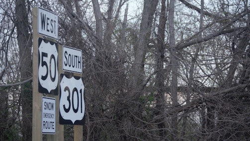 A cluster of road signs is positioned in front of a dense thicket of leafless trees. The signs indicate directions for routes 50 West and 301 South, along with a notice for a snow emergency route.