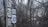 A cluster of road signs is positioned in front of a dense thicket of leafless trees. The signs indicate directions for routes 50 West and 301 South, along with a notice for a snow emergency route.