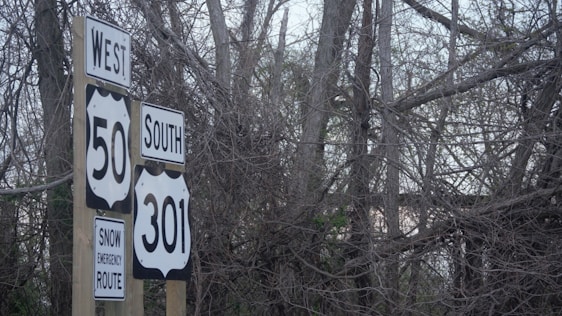 A cluster of road signs is positioned in front of a dense thicket of leafless trees. The signs indicate directions for routes 50 West and 301 South, along with a notice for a snow emergency route.