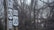 A cluster of road signs is positioned in front of a dense thicket of leafless trees. The signs indicate directions for routes 50 West and 301 South, along with a notice for a snow emergency route.