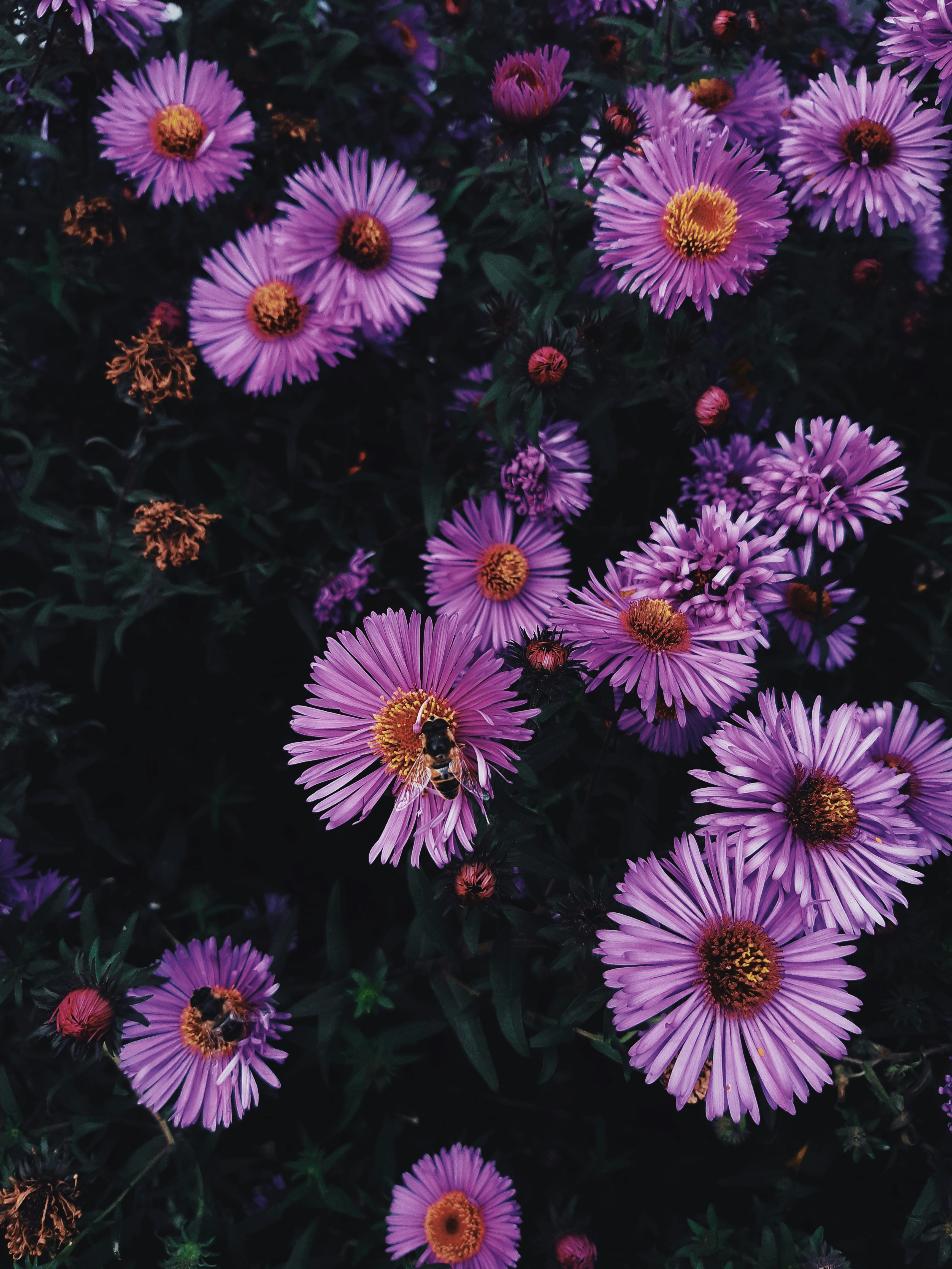 Photo by nosova