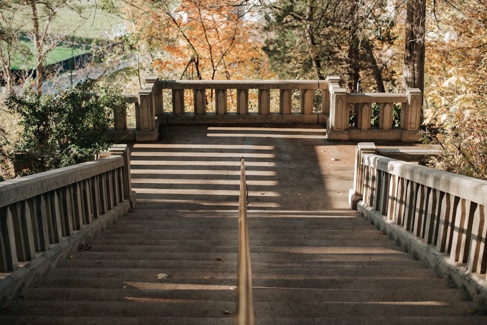 brown wooden bridge in between trees during daytime