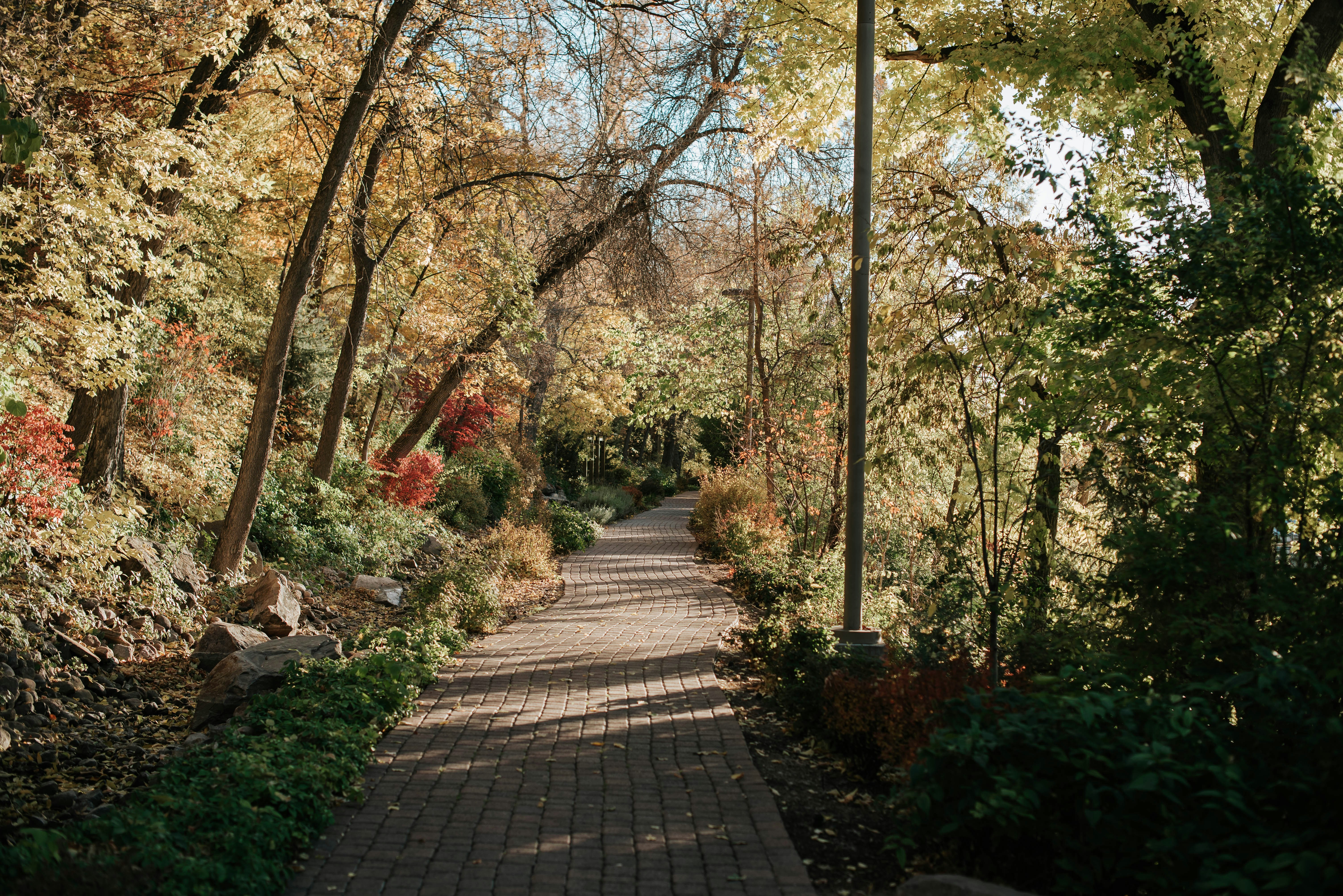 Photo by octoberroses