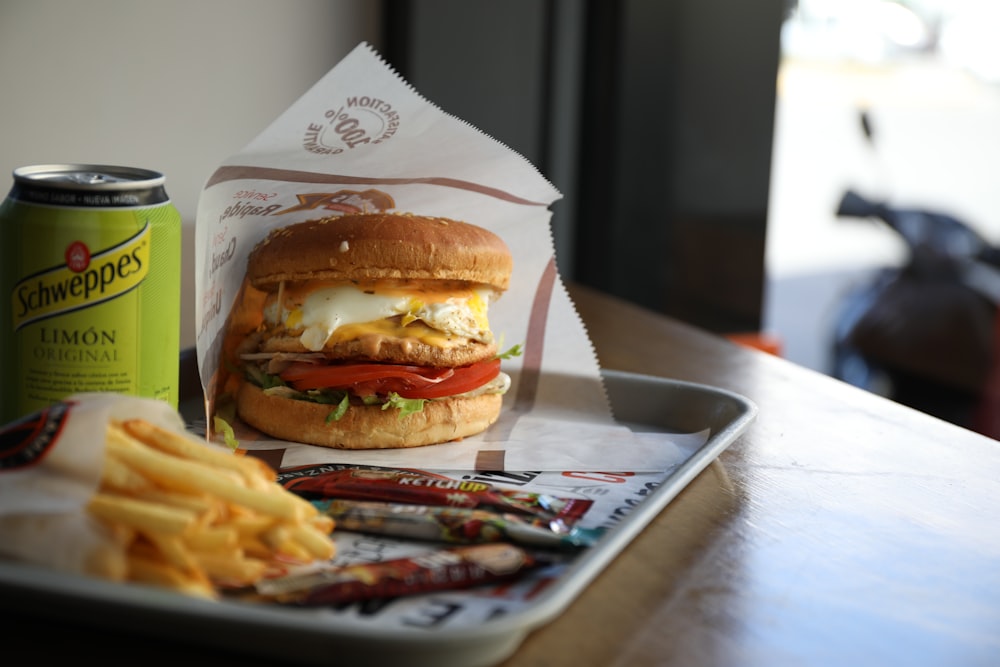 burger with patty and fries on white ceramic plate