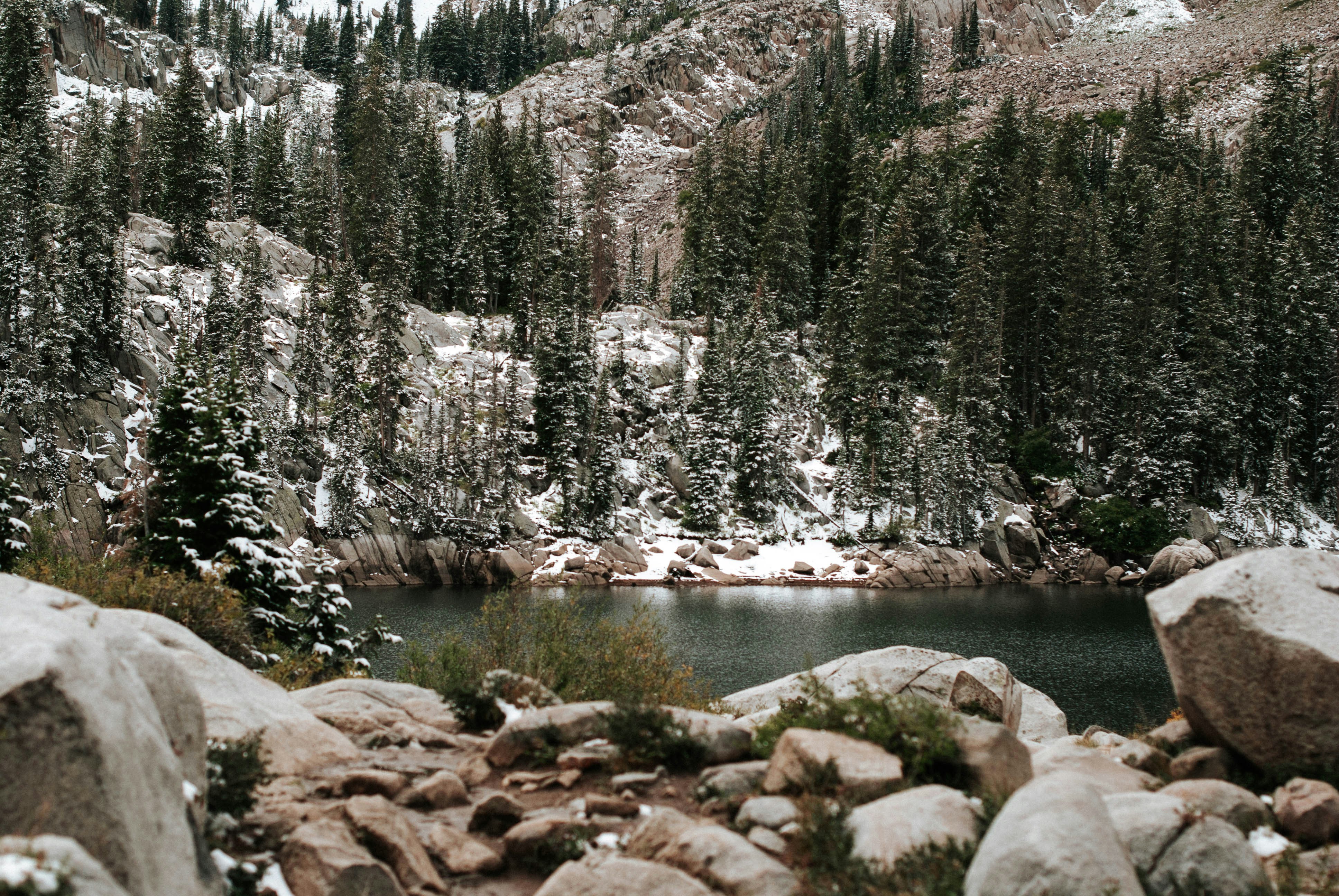 white snow covered trees beside river during daytime