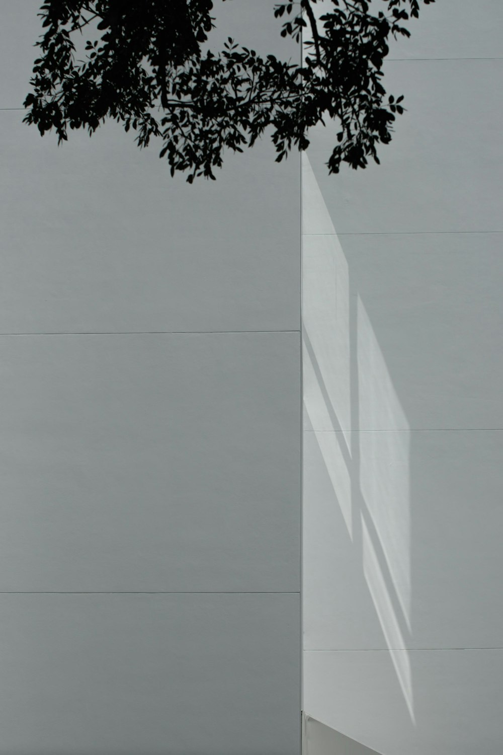 낮에는 흰색 콘크리트 건물