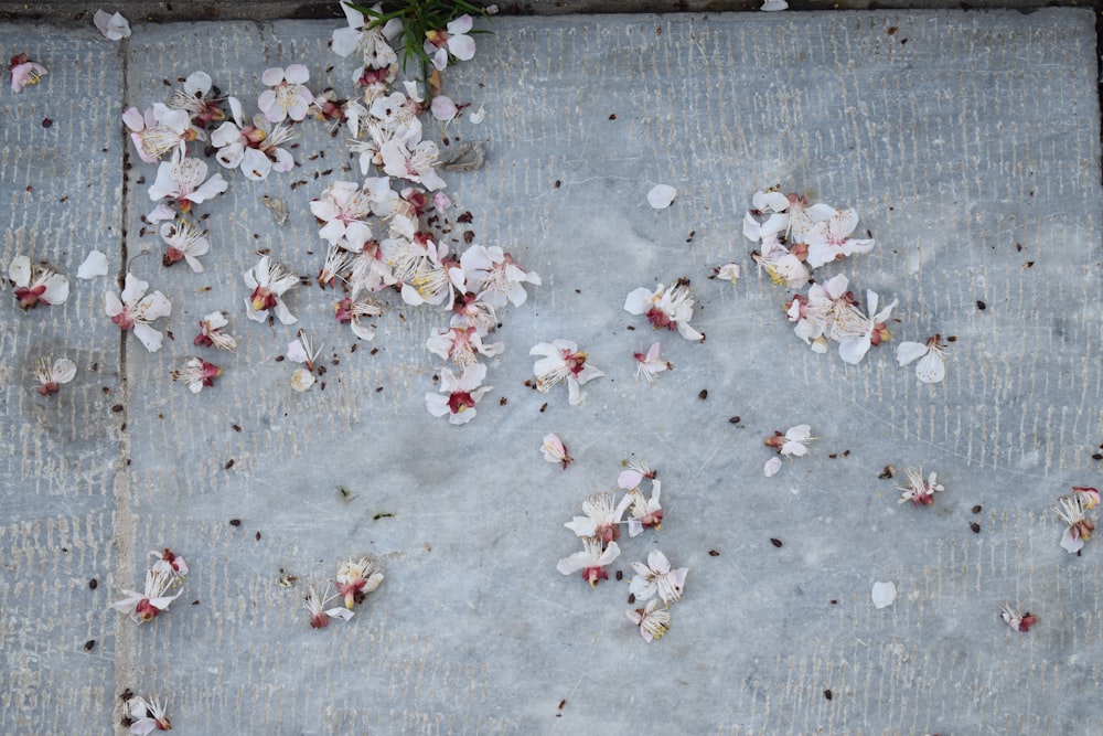 white and red flowers on gray concrete floor