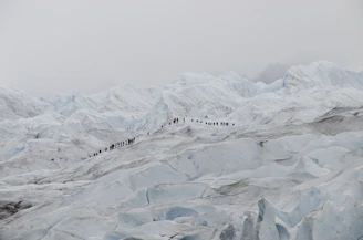 Photo of the team skiing across the Ronne Ice Shelf under a vast Antarctic sky.