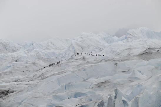 Photo of the team skiing across the Ronne Ice Shelf under a vast Antarctic sky.