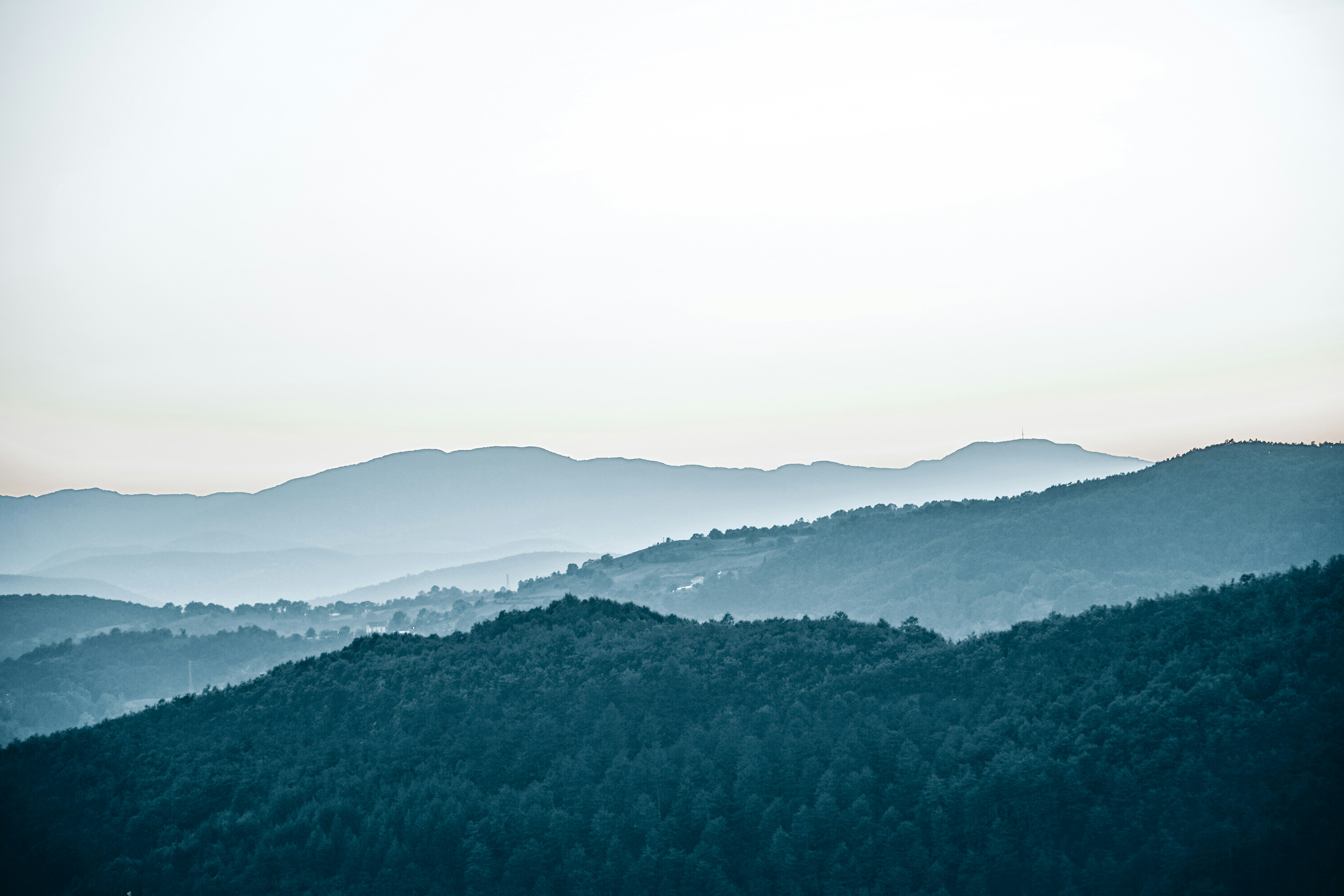 green trees on mountain during daytime