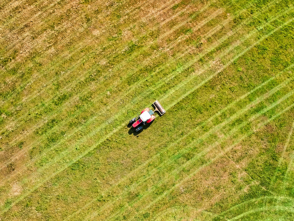 camion blanc et noir sur un champ d’herbe verte pendant la journée