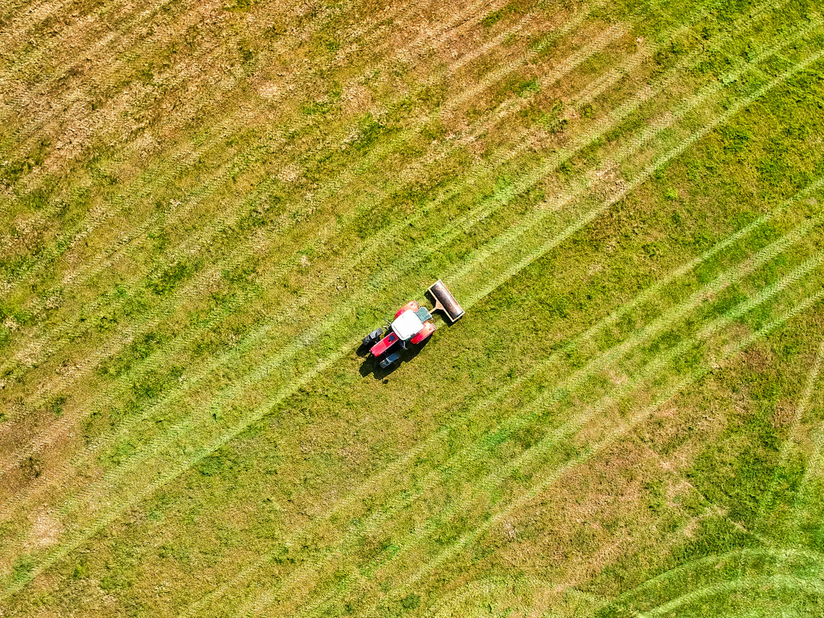Trim Quote Follow-Up Delays for Landscaping 2026