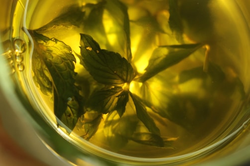 A close-up view of fresh mint leaves immersed in a liquid, giving a warm golden hue. The leaves are intricately detailed, with light passing through the liquid and illuminating the green of the leaves.