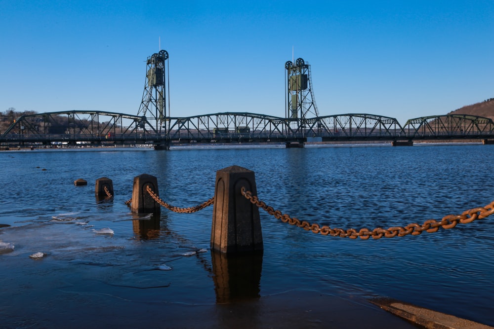 people on brown wooden dock during daytime