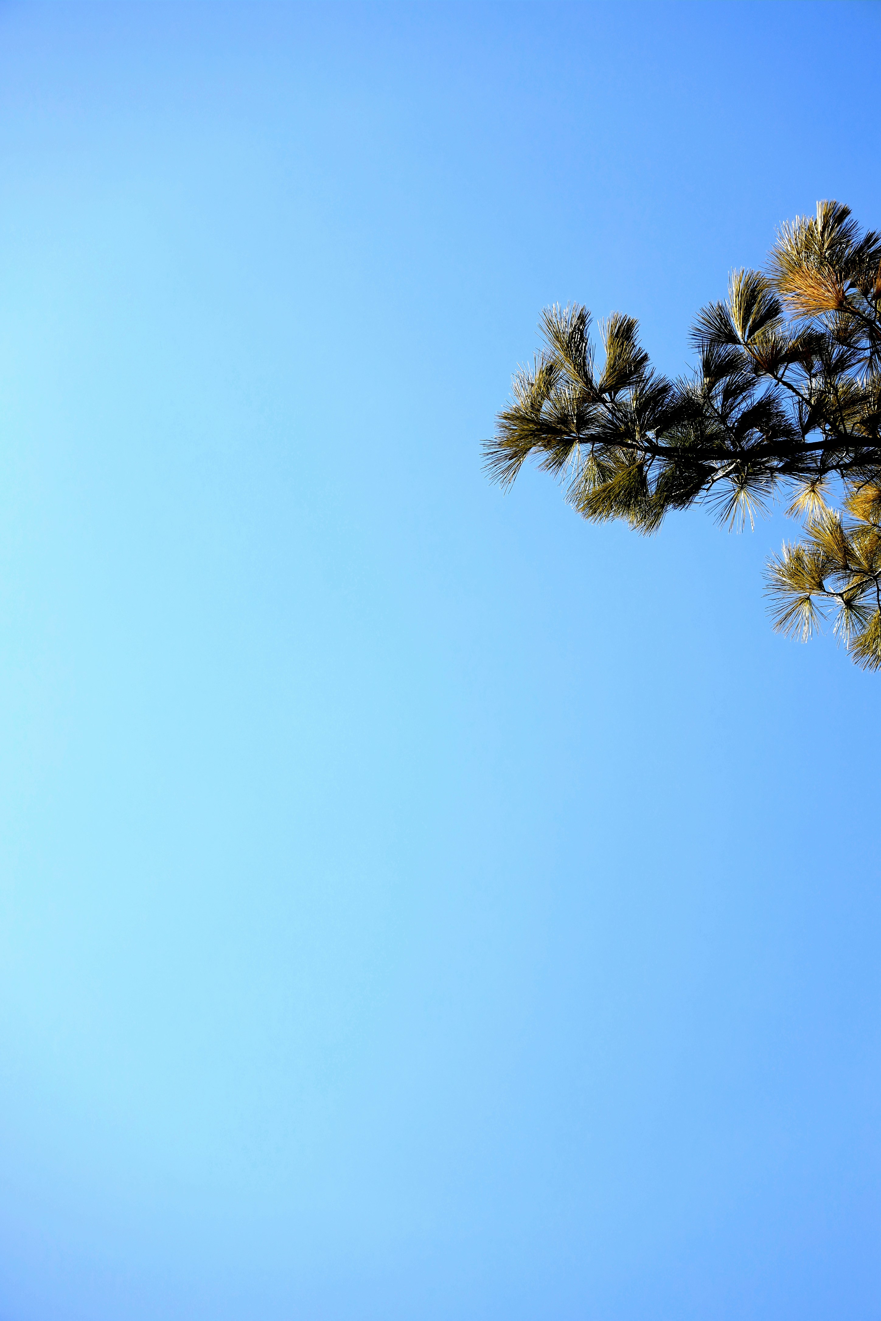 Photo by richardworks