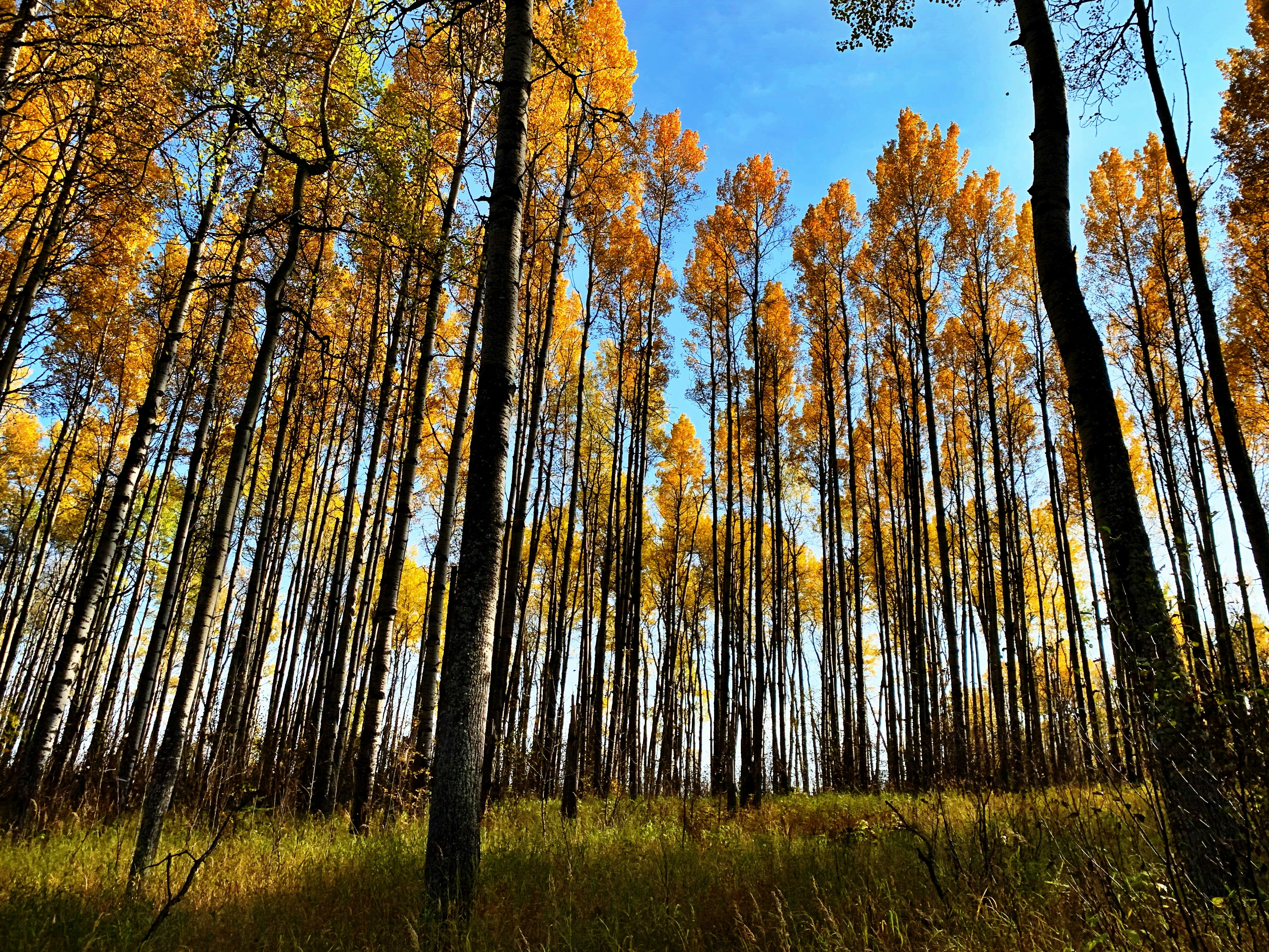 Photo by patricia3272