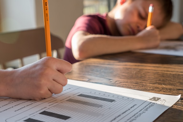 kids home school tutoring doing a worksheet