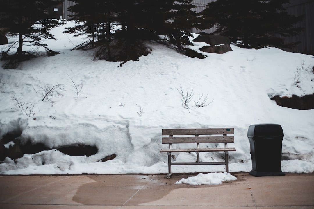 brown wooden bench on snow covered ground