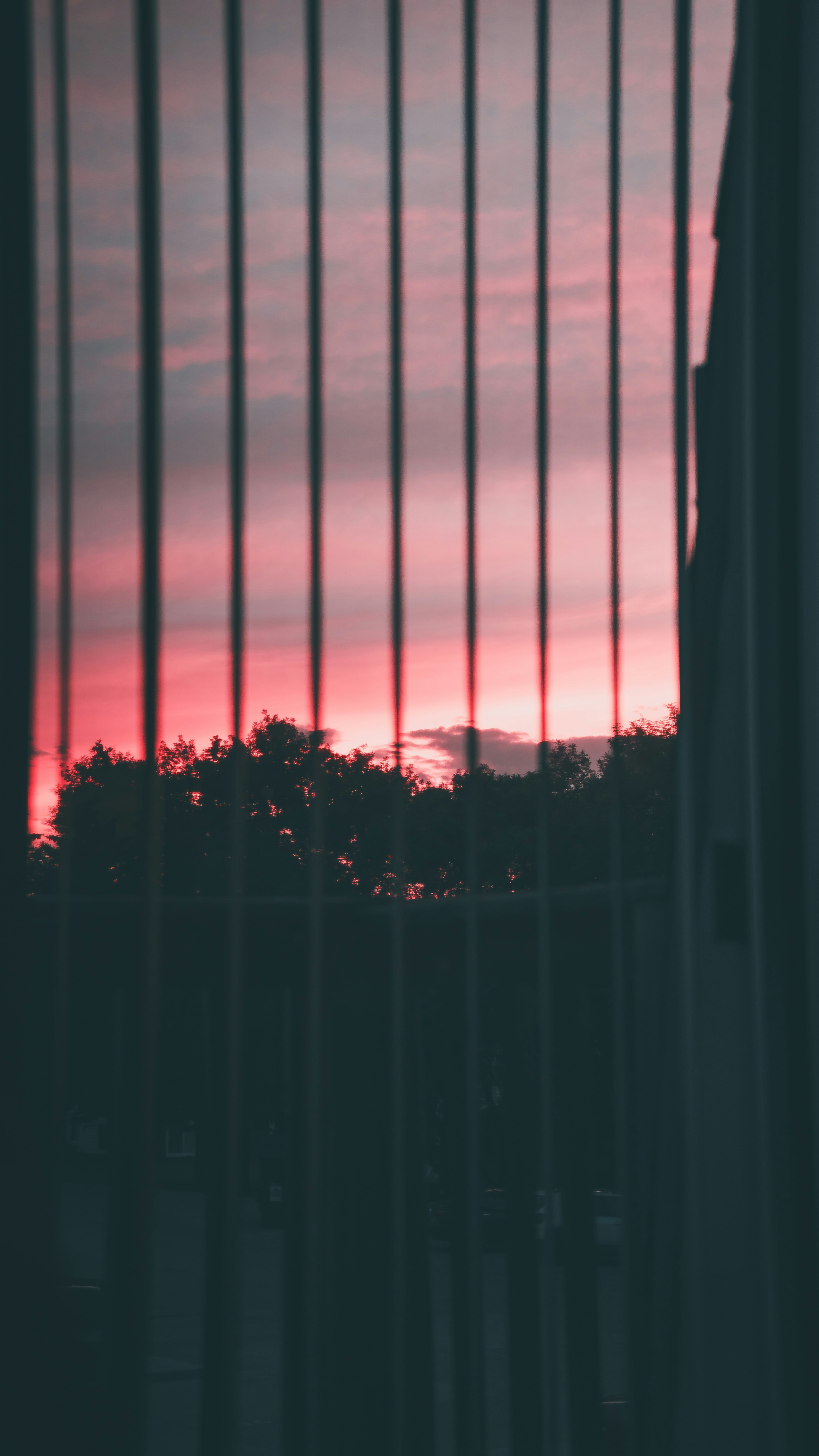 Photo by jasonbrojas