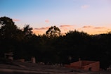 Evening shot of a village landscape showing newly planted trees silhouetted against a soft sand-colored sky.