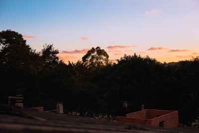 Evening shot of a village landscape showing newly planted trees silhouetted against a soft sand-colored sky.