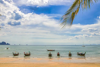 people on beach during daytime