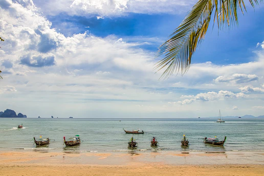 people on beach during daytime