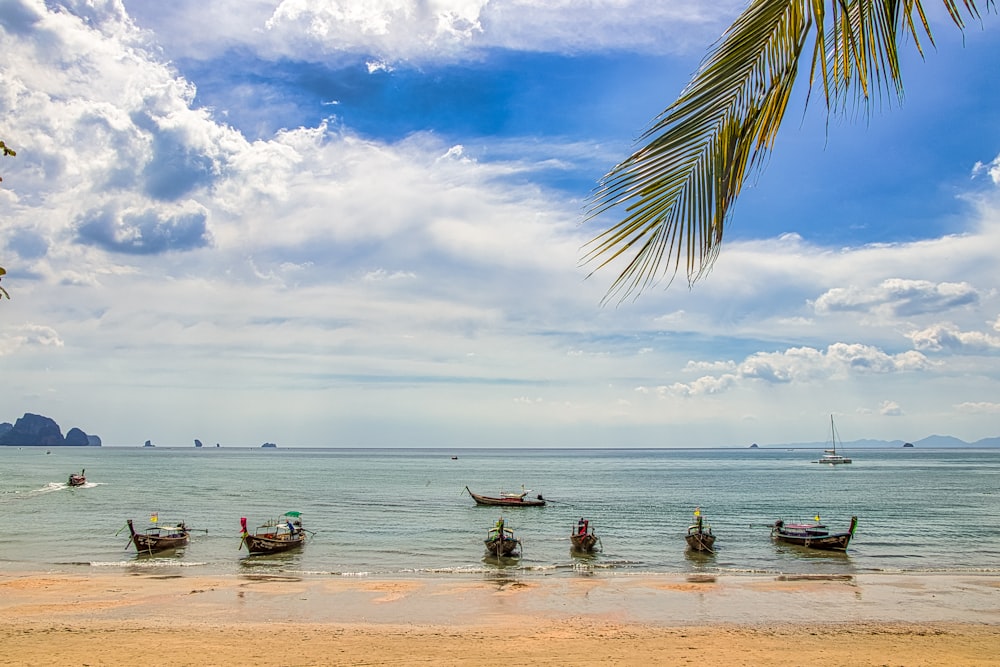 people on beach during daytime