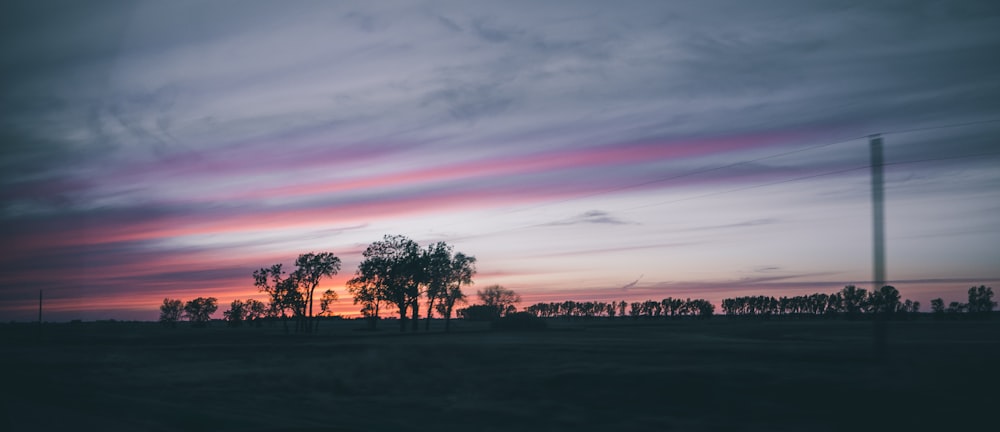 silhouette of trees during sunset