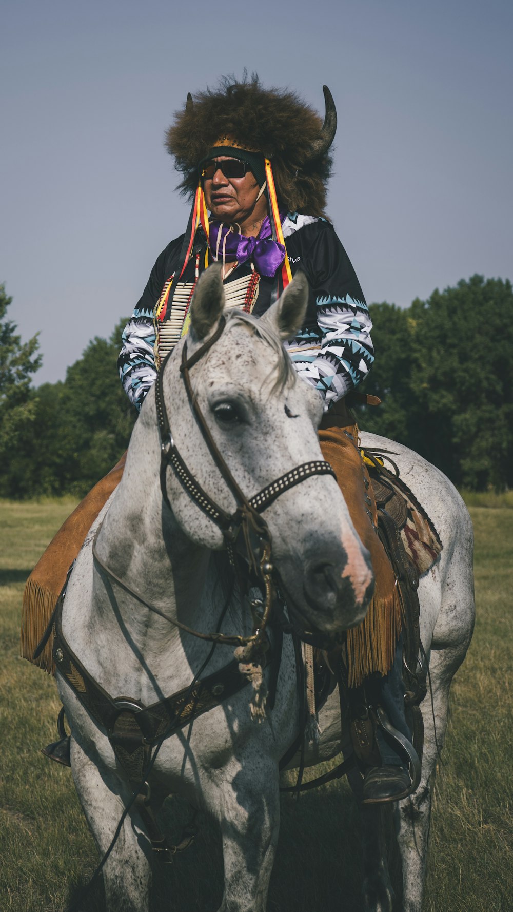 person in blue and white long sleeve shirt riding on white horse during daytime