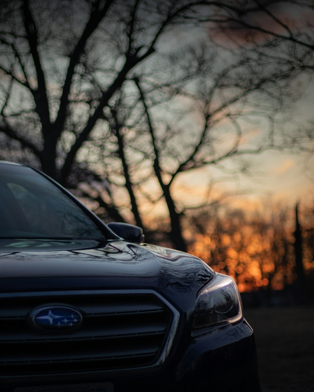 black car in front of trees during sunset