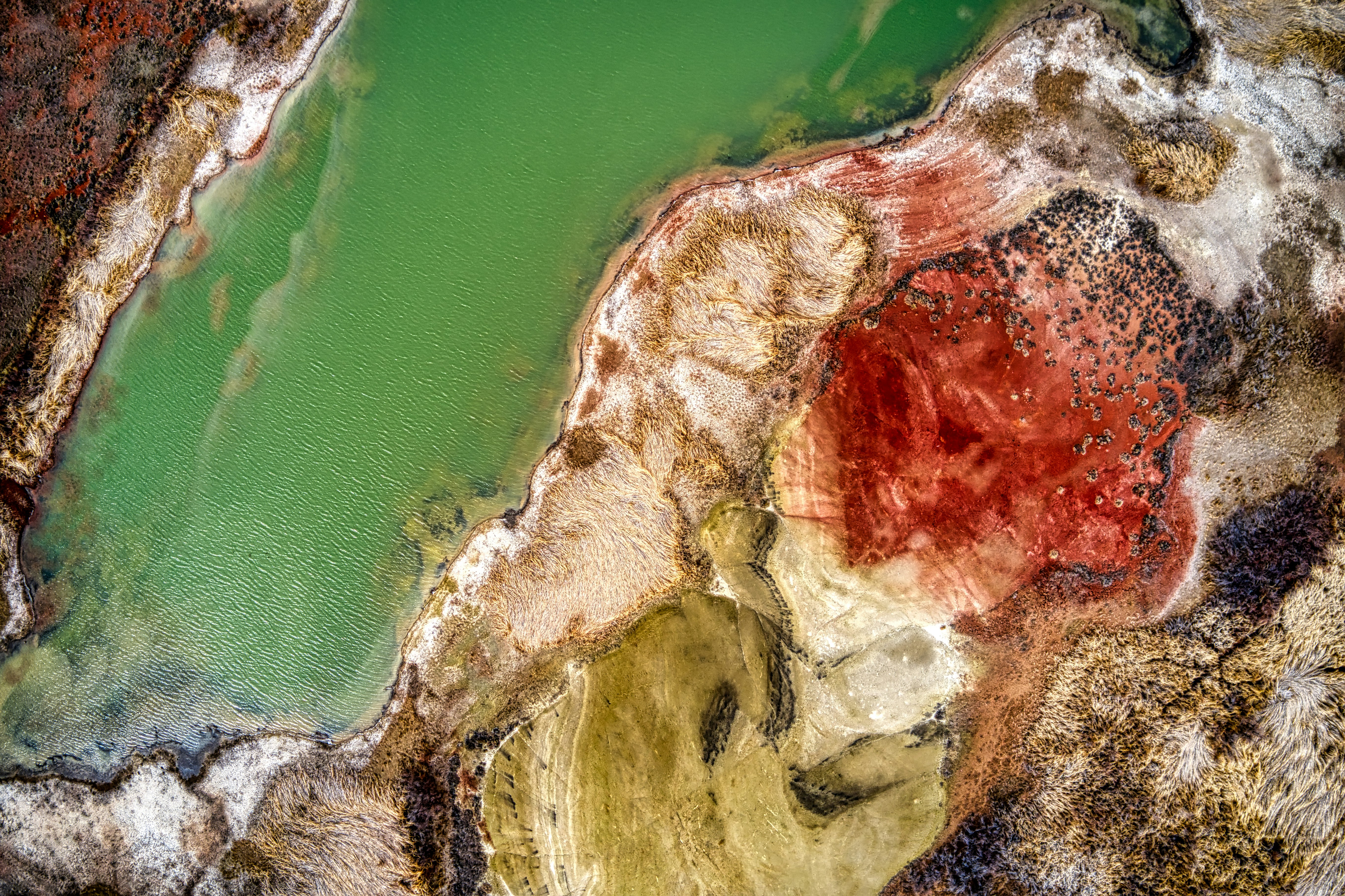 aerial view of body of water