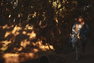 A person wrapped in a blue garment rides a white donkey through a forest path. The lighting creates dramatic shadows from the dense canopy of leaves above, casting intricate patterns on the ground. The scene is serene and captures a moment of peaceful travel in a natural setting.