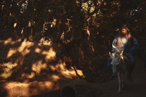 A person wrapped in a blue garment rides a white donkey through a forest path. The lighting creates dramatic shadows from the dense canopy of leaves above, casting intricate patterns on the ground. The scene is serene and captures a moment of peaceful travel in a natural setting.