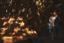 A person wrapped in a blue garment rides a white donkey through a forest path. The lighting creates dramatic shadows from the dense canopy of leaves above, casting intricate patterns on the ground. The scene is serene and captures a moment of peaceful travel in a natural setting.