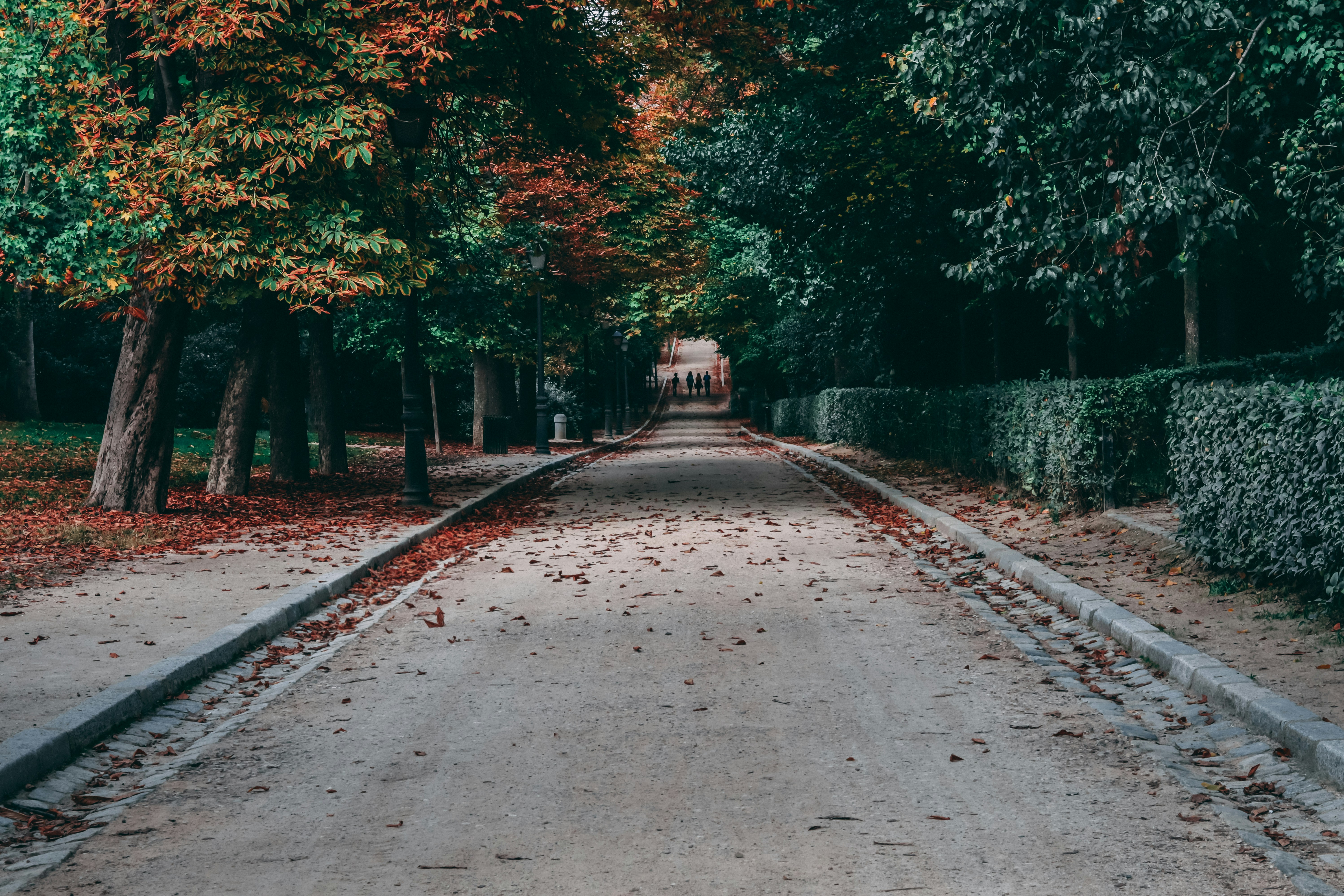 Photo by georgetsivras