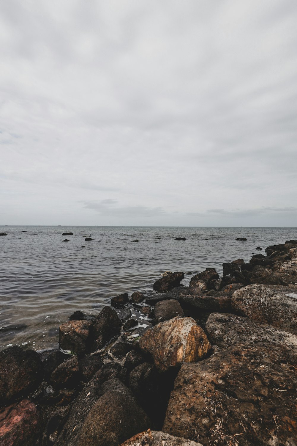 brown rocks on sea shore during daytime