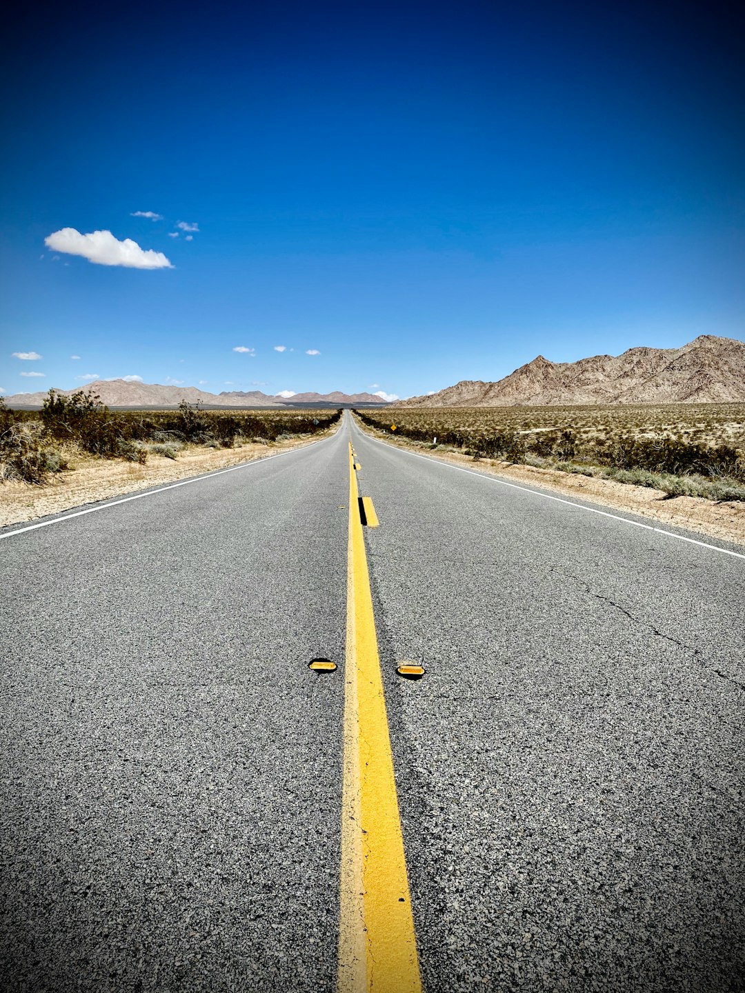 travelers stories about Road trip in Joshua Tree National Park, United States