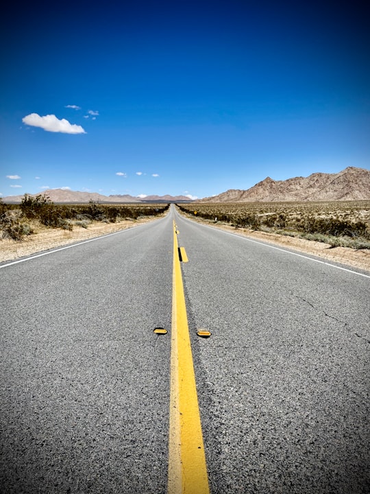 gray concrete road under blue sky during daytime in Joshua Tree National Park United States