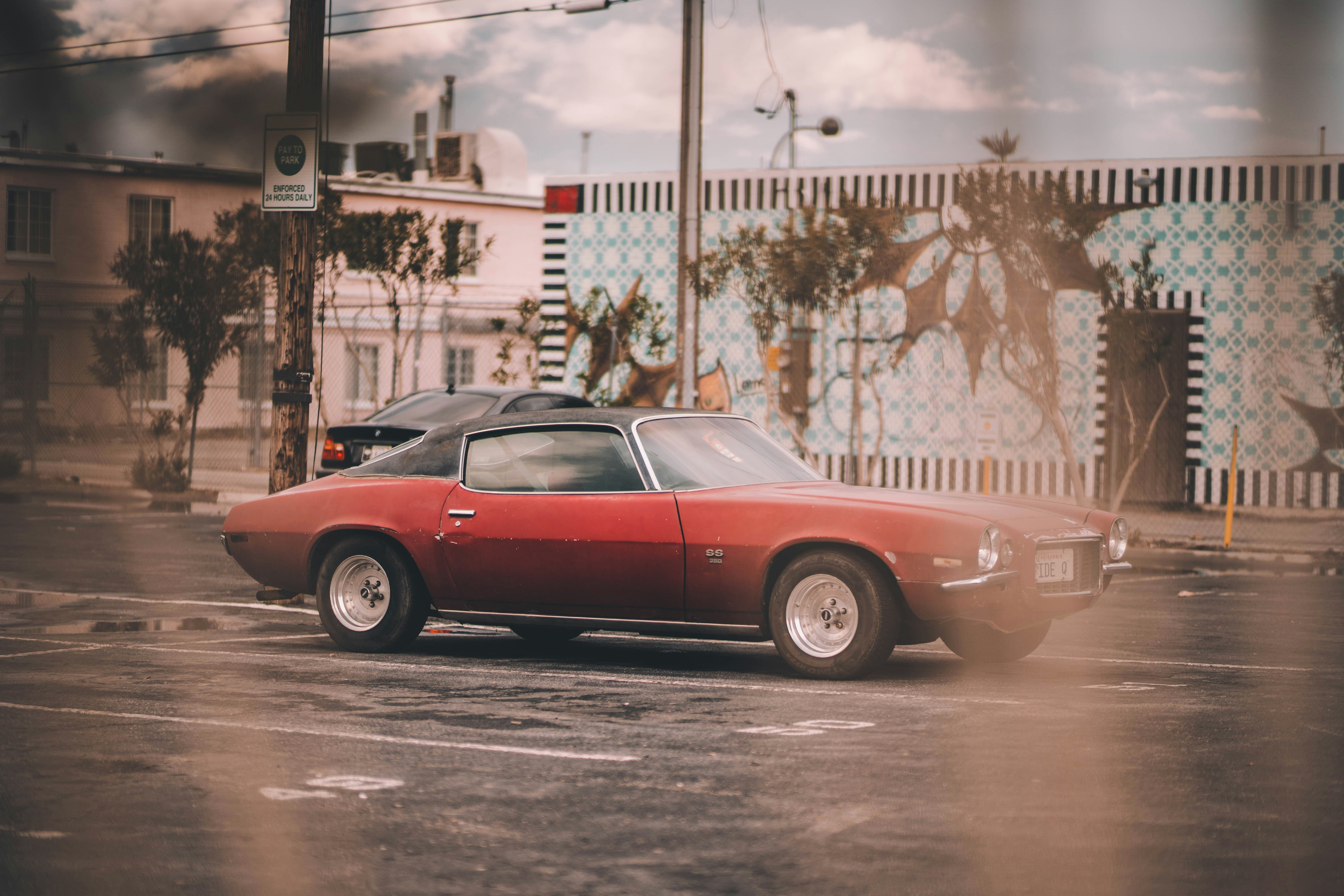 Photo by matthewpablico