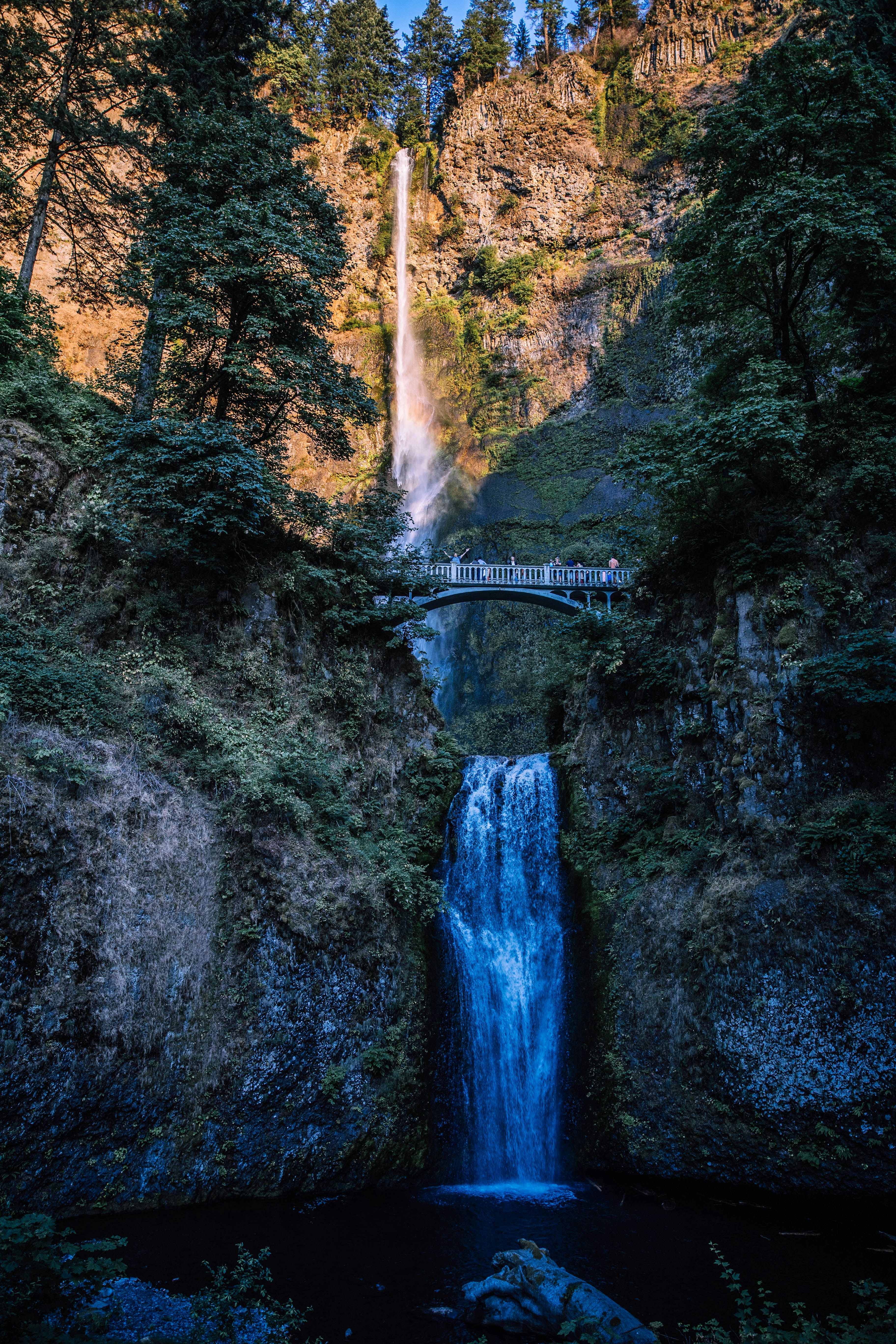 Photo by matthewpablico