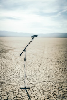 black and white stick on brown sand during daytime