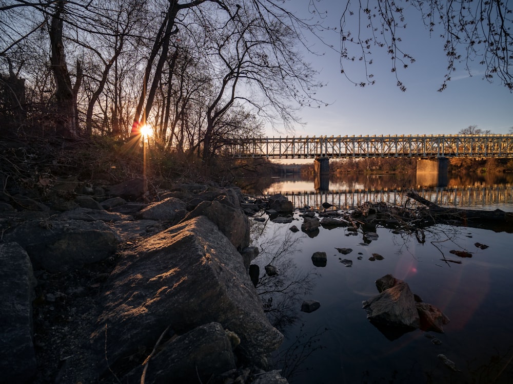 brown bridge over river during daytime