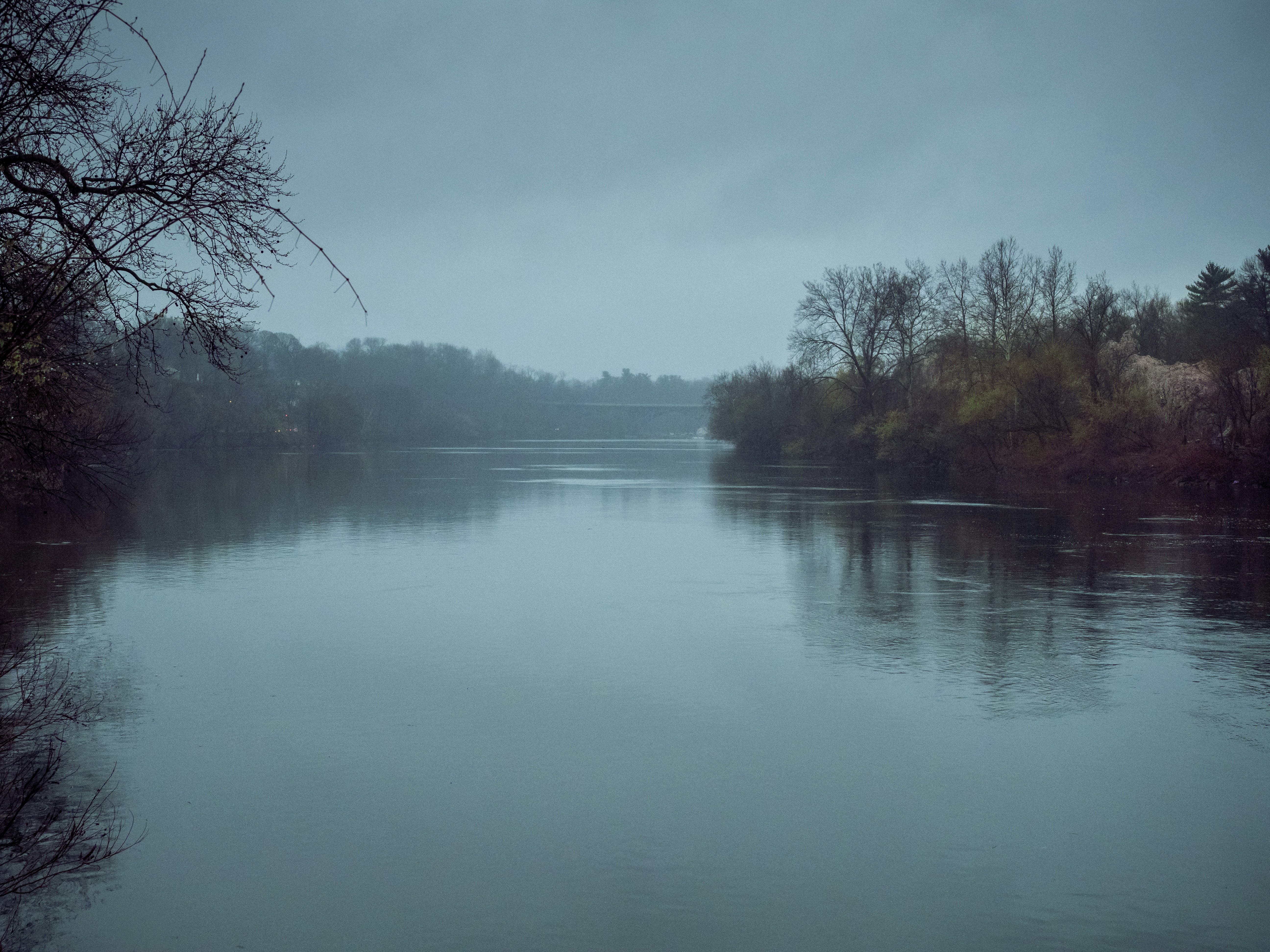 낮에는 하얀 하늘 아래 강 옆의 푸른 나무들