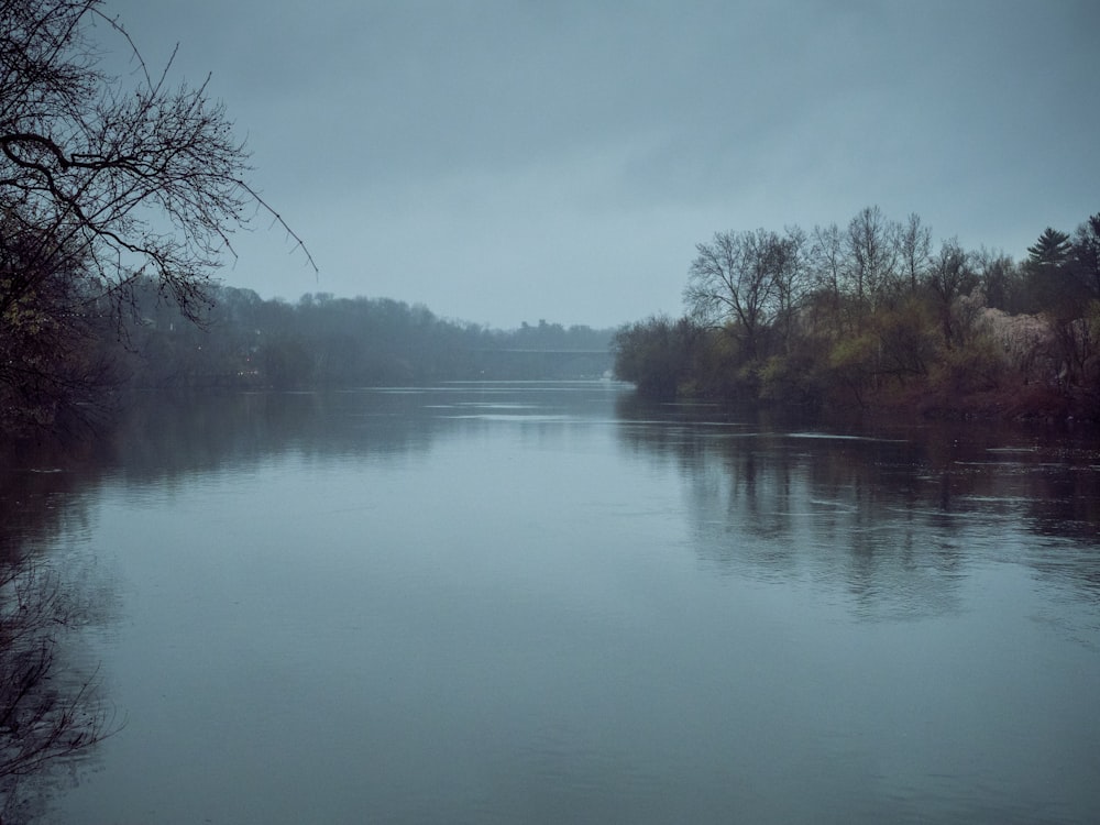 green trees beside river under white sky during daytime