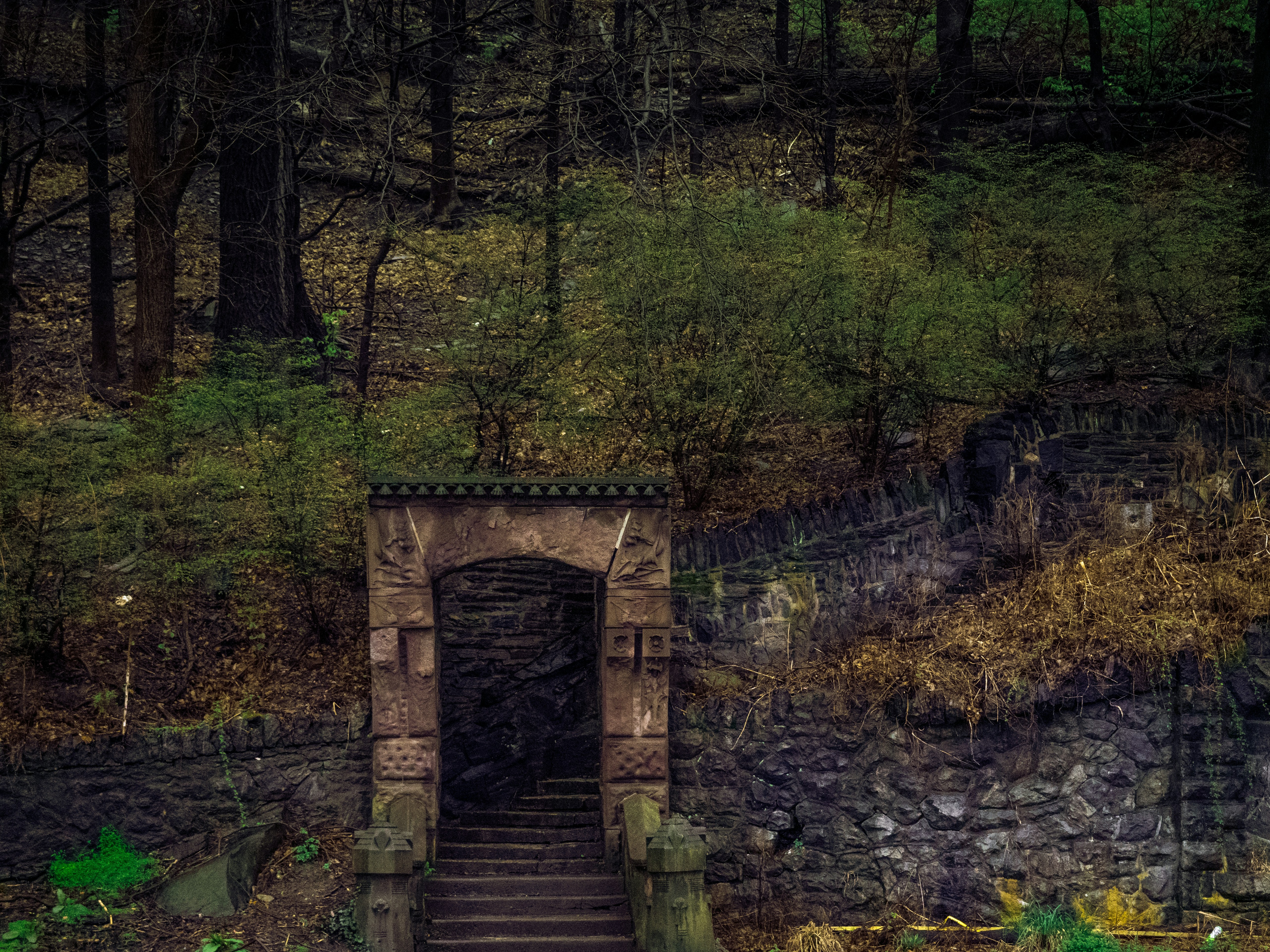 숲 속의 갈색 목조 다리