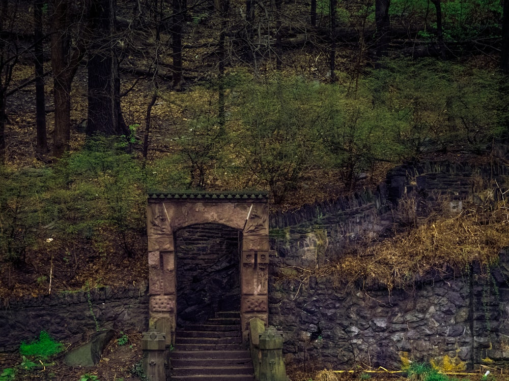 Braune Holzbrücke im Wald