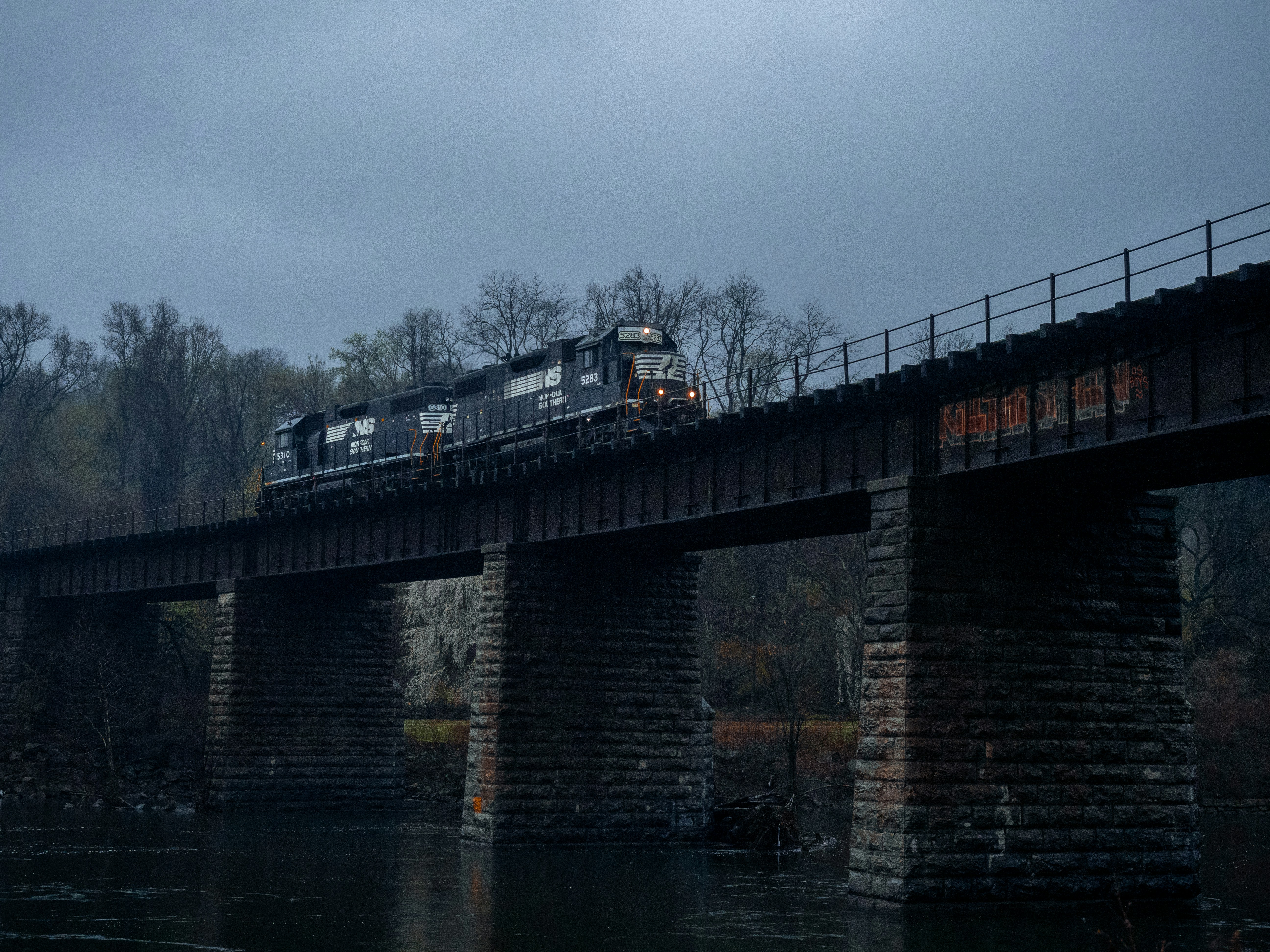 물 위의 갈색과 검은색 다리